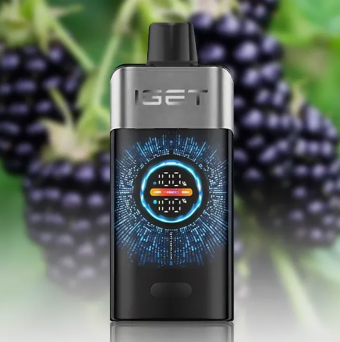 5 x IGET One 12000 Puffs $409.99