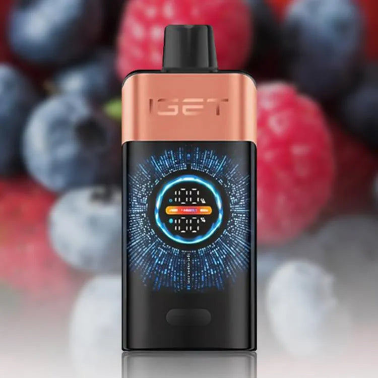 5 x IGET One 12000 Puffs $409.99