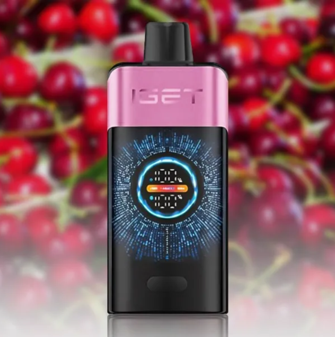 5 x IGET One 12000 Puffs $409.99