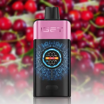 5 x IGET One 12000 Puffs $409.99