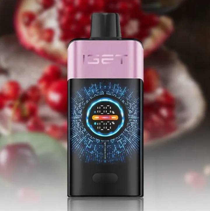 5 x IGET One 12000 Puffs $409.99