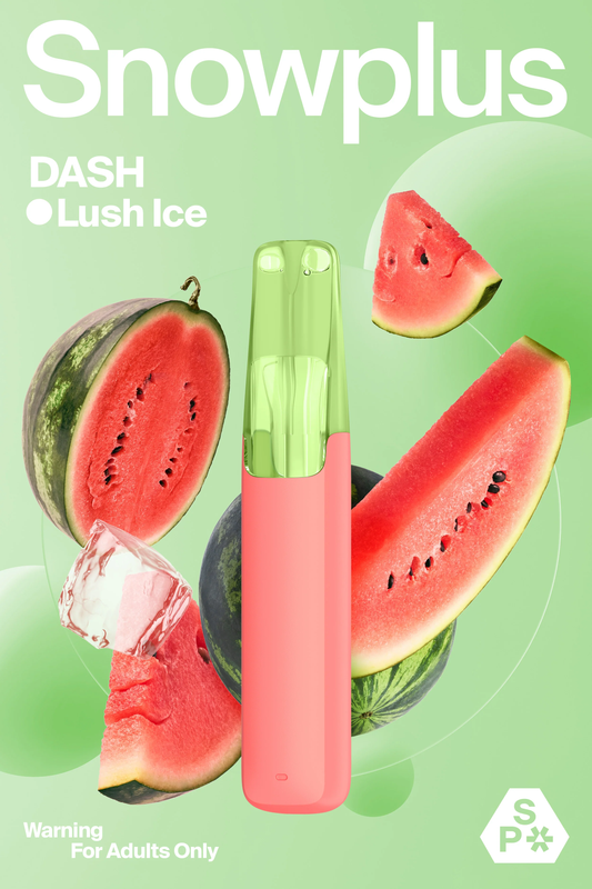 Snowplus DASH 4000 Puffs
