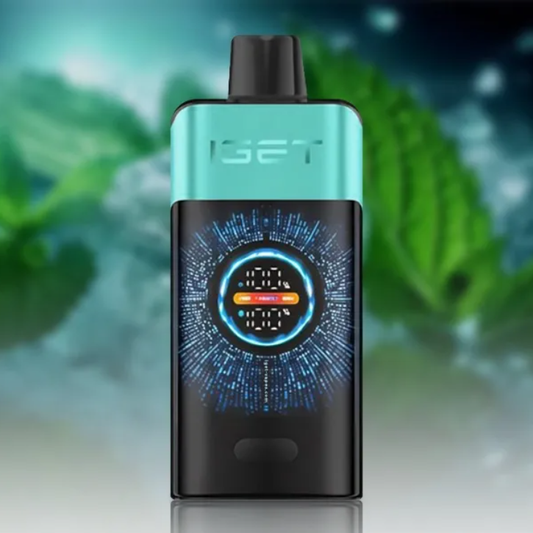 IGET One 12000 Puffs - Mountain Spring Mint Ice