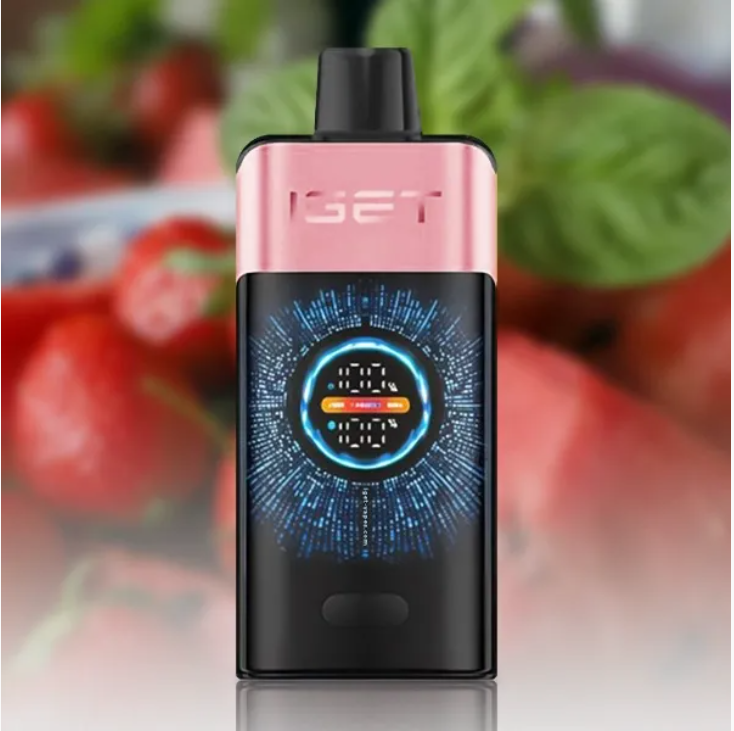 5 x IGET One 12000 Puffs $409.99