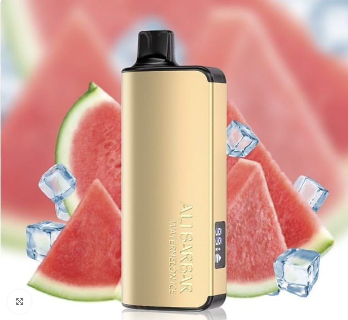 Alibarbar Ingot 9000 Puffs - Watermelon Ice